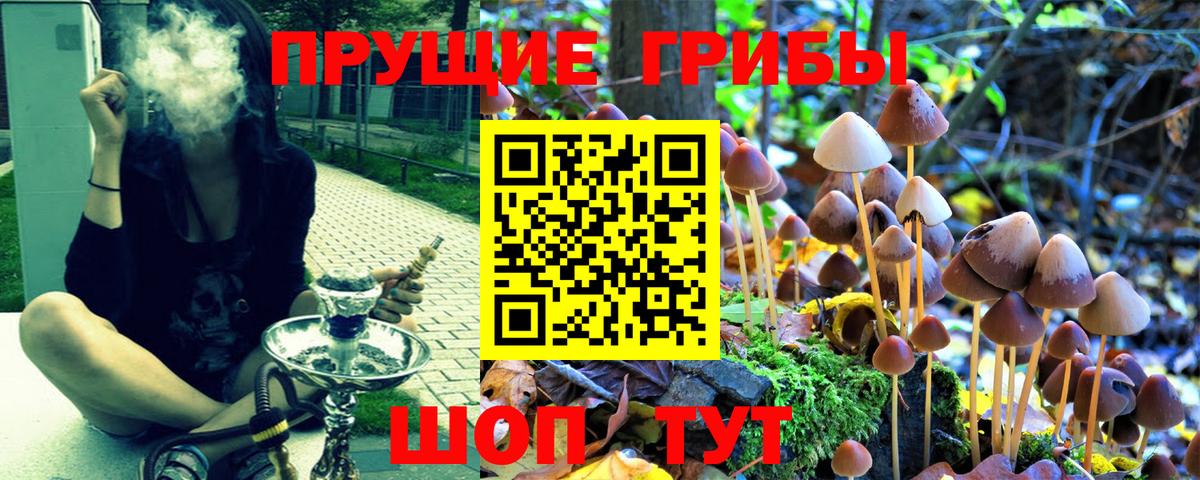 Галлюциногенные грибы мухоморы Котельники