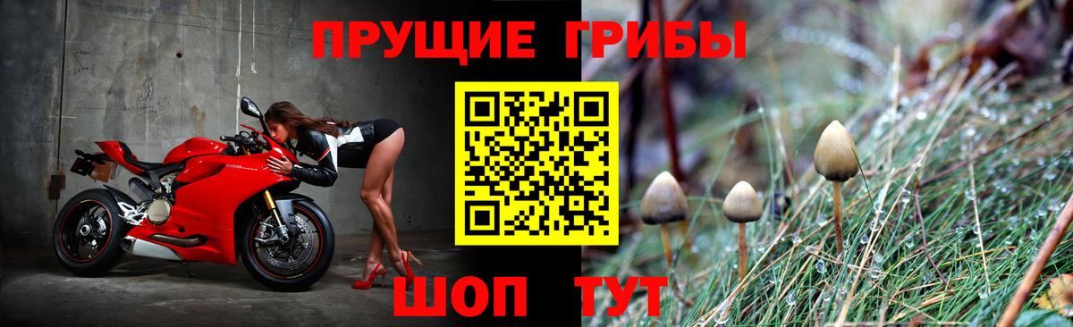 Котельники  Галлюциногенные грибы мицелий  Вход с VPN 